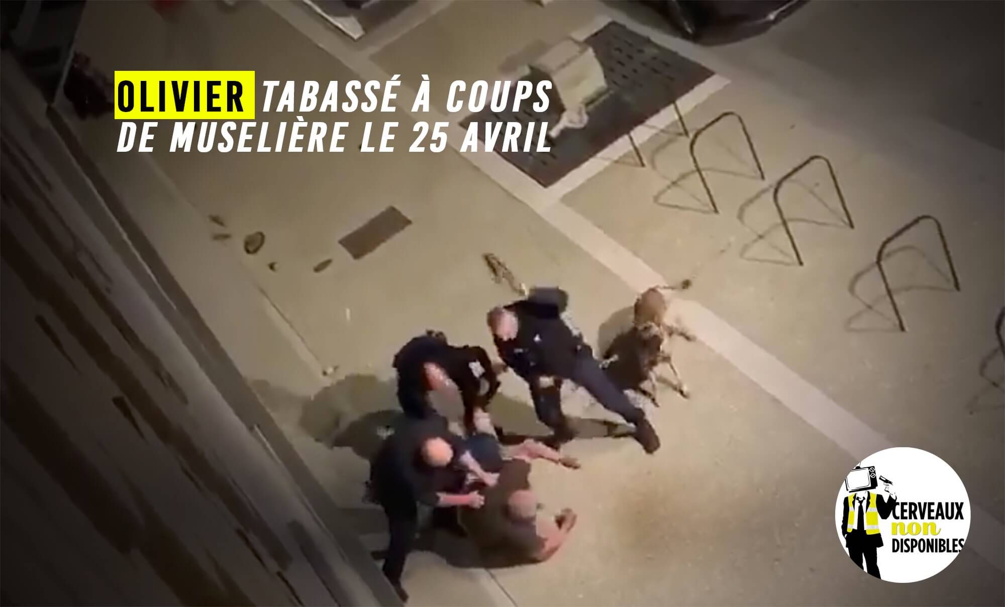 Olivier frappé à coups de muselière à Toulouse : la version policière mise à mal